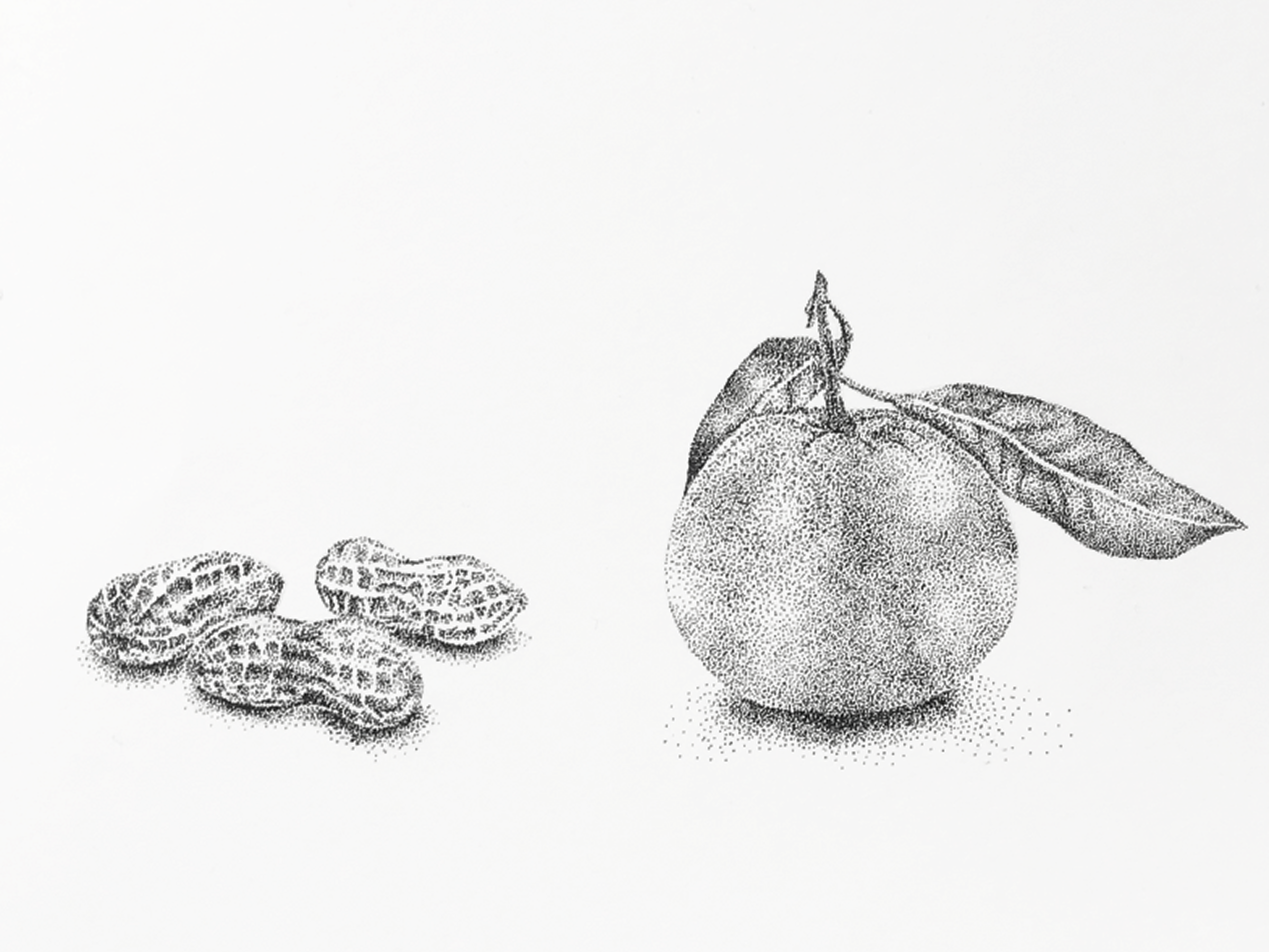 Snack Plants