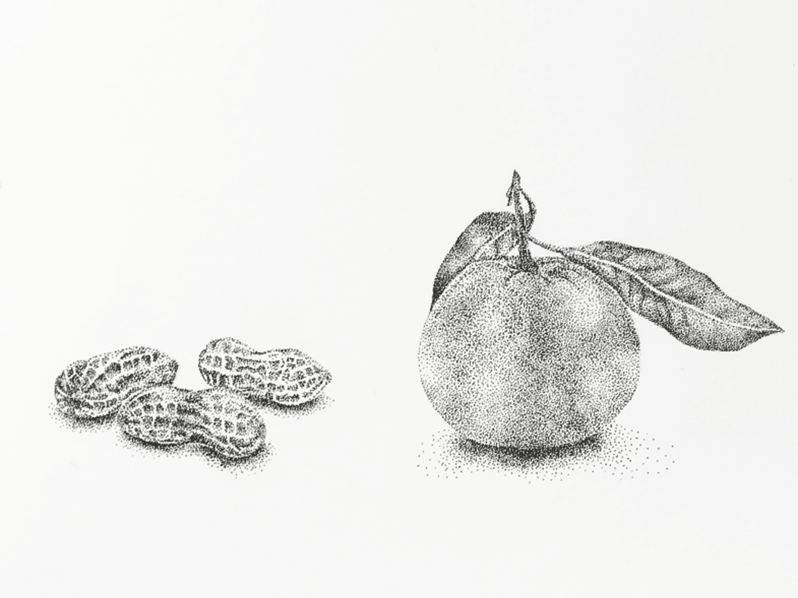Snack Plants
